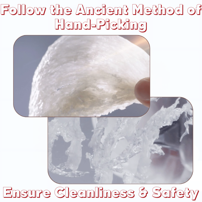 Yan Palace One Nest True Love Collection(Low Sugar) 108G x 6