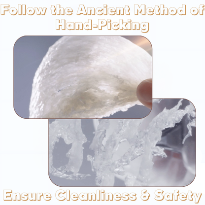 Yan Palace One Nest Honor Collection 108G x 6