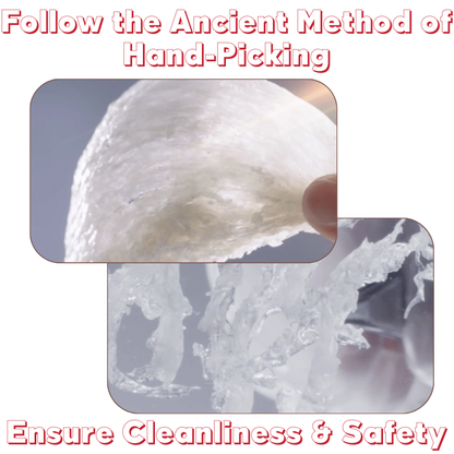 Yan Palace One Nest Prestige Collection (Low Sugar)158G x 6