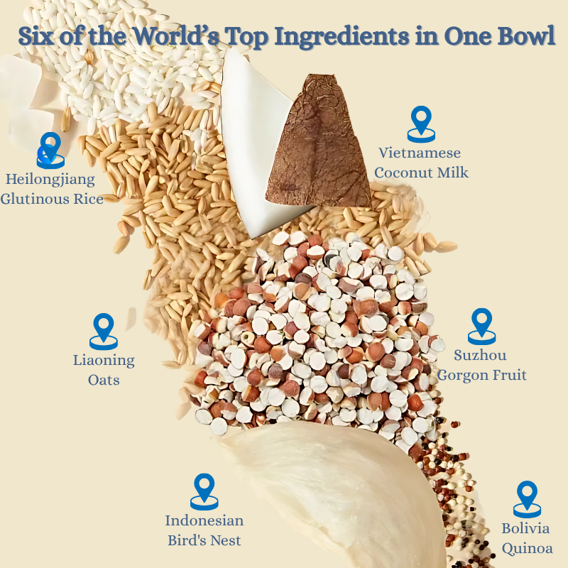 Yan Palace Bird's Nest Porridge with Coconut Milk and Gorgon Fruit 252g x 6 / Box Ready2Eat Bird' Nest Porridge